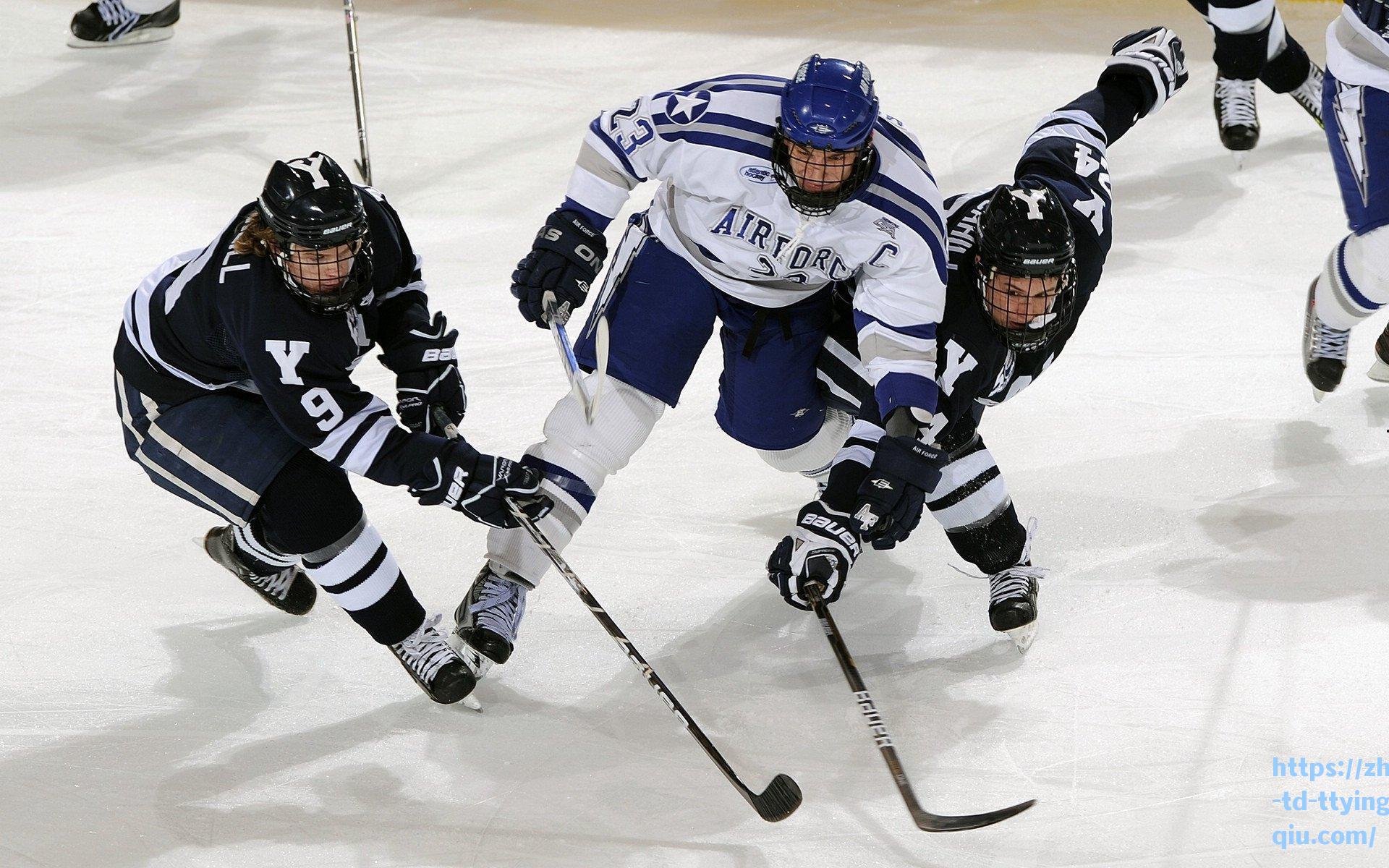 狼堡主场餐厅突陷破产危机 球员就餐问题引关注
